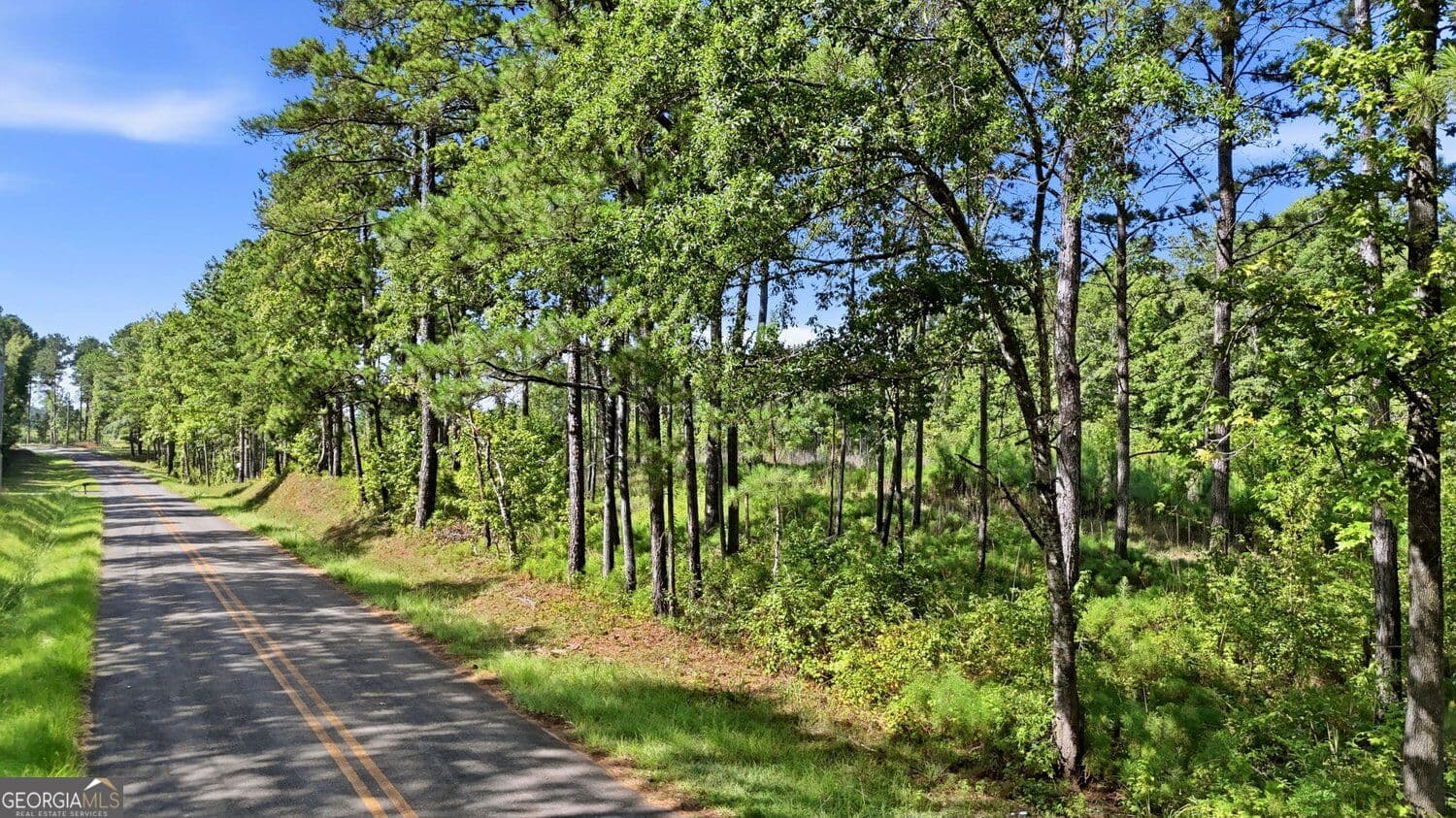 unimproved land for sale at 145+/- ACRES Giles Road, Forsyth, GA 31029 — photo 2