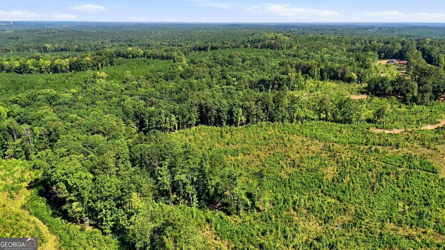 unimproved land for sale at 145+/- ACRES Giles Road, Forsyth, GA 31029 — photo 6