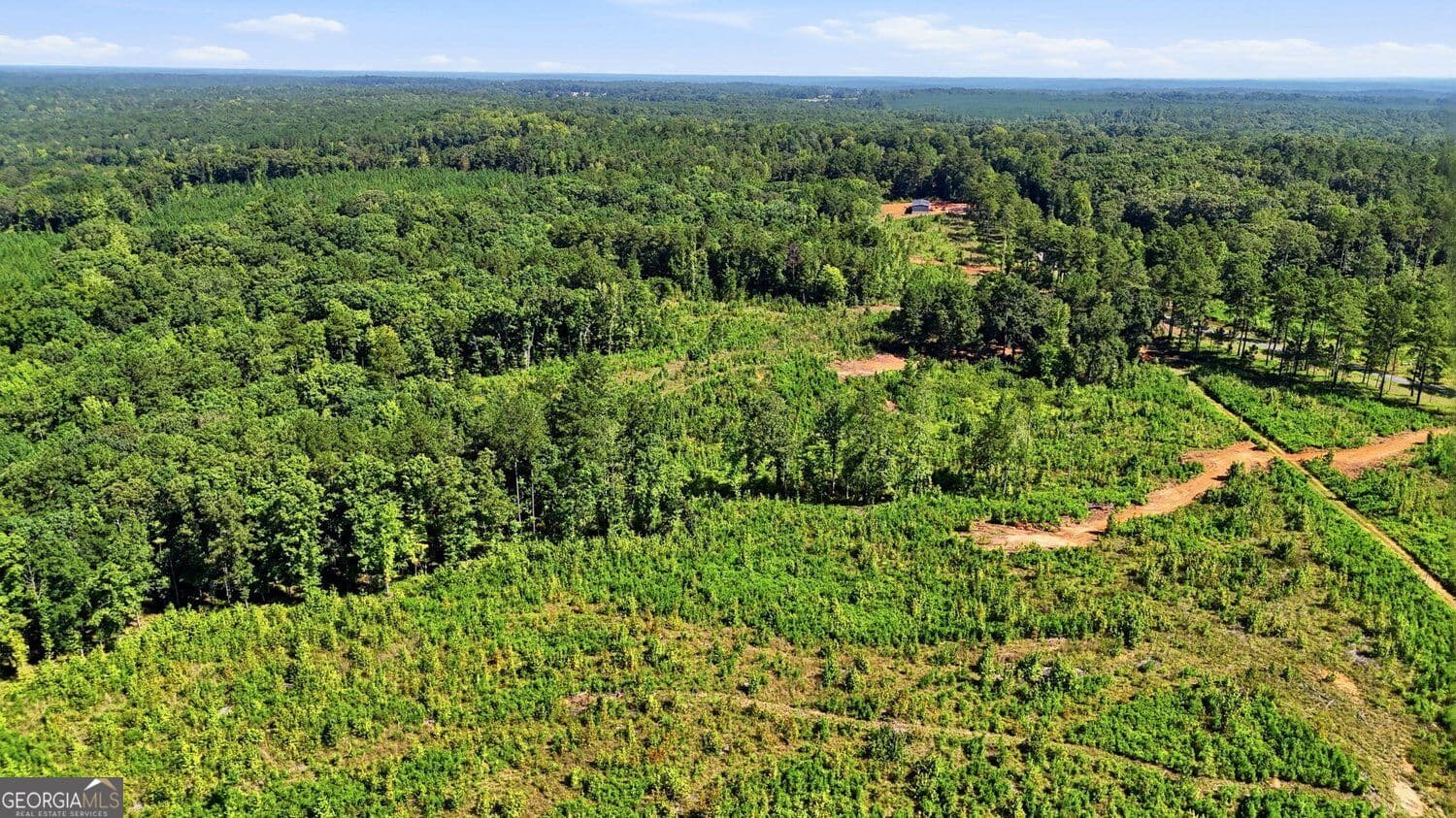unimproved land for sale at 145+/- ACRES Giles Road, Forsyth, GA 31029 — photo 7