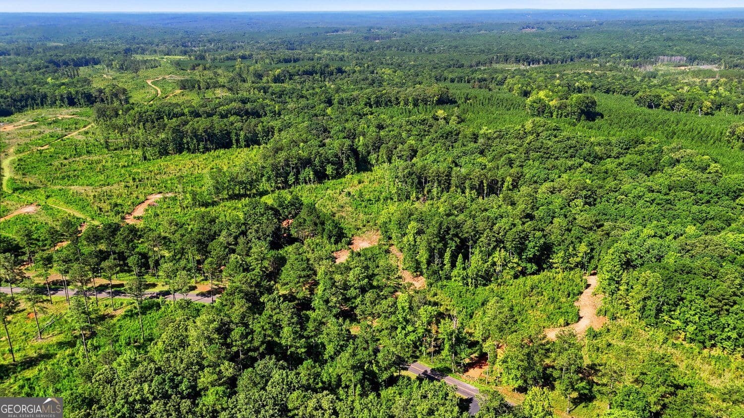 unimproved land for sale at 145+/- ACRES Giles Road, Forsyth, GA 31029 — photo 3