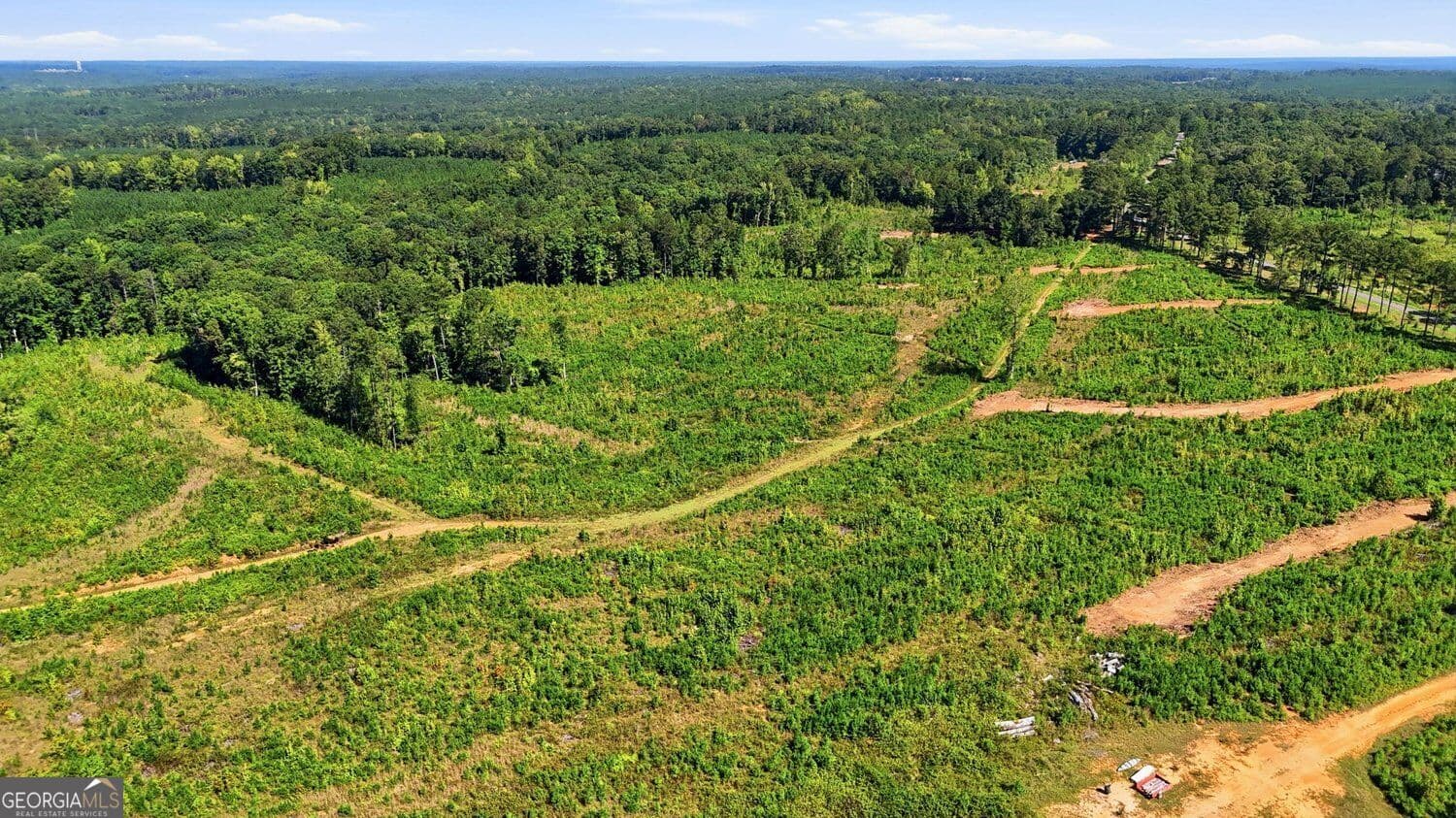 unimproved land for sale at 145+/- ACRES Giles Road, Forsyth, GA 31029 — photo 5