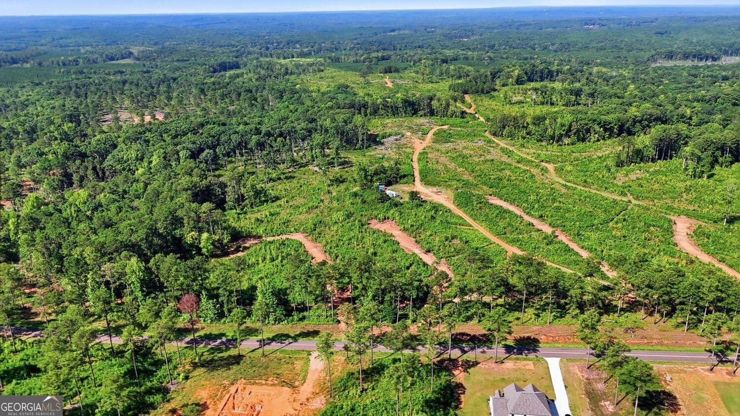 unimproved land for sale at 145+/- ACRES Giles Road, Forsyth, GA 31029 — photo 4