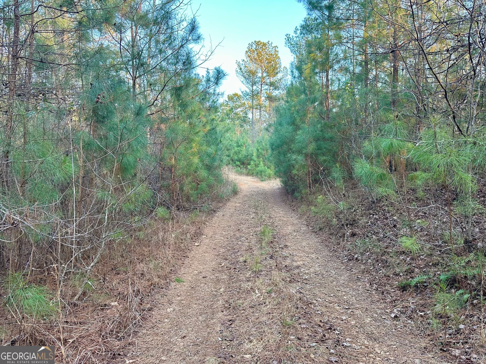 unimproved land for sale at 0 - TRACT 1 Mt Zion Church Road, Whitesburg, GA 30185 — photo 7