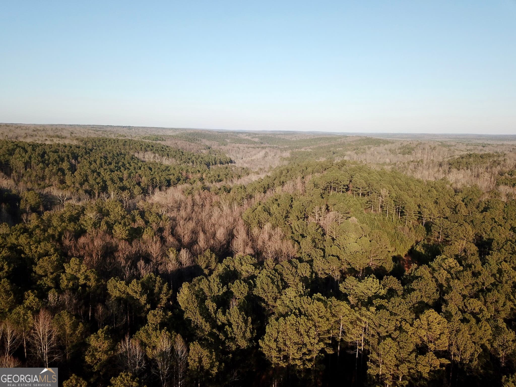 unimproved land for sale at 0 - TRACT 1 Mt Zion Church Road, Whitesburg, GA 30185 — photo 5