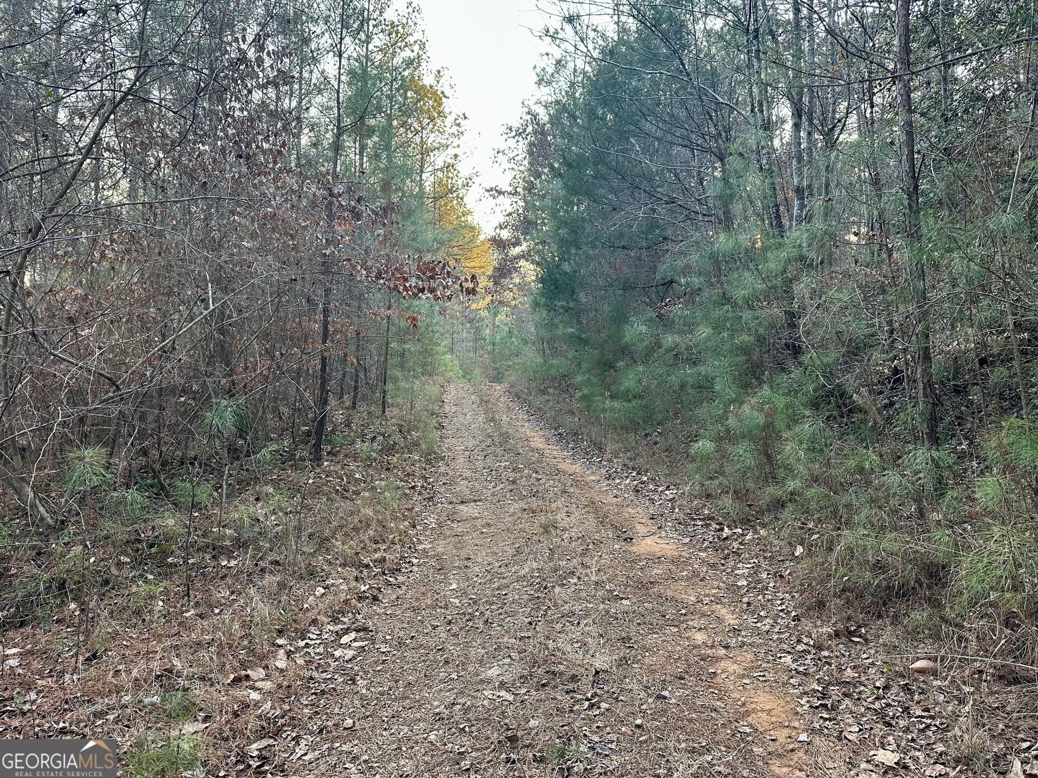 unimproved land for sale at 0 - TRACT 1 Mt Zion Church Road, Whitesburg, GA 30185 — photo 8
