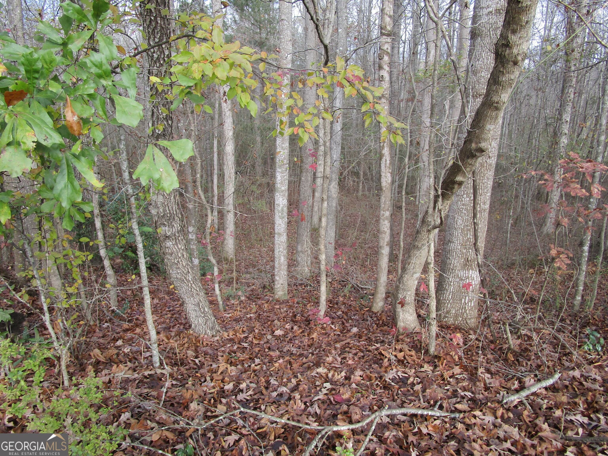 residential lot for sale at 135 Four Oaks Drive, Griffin, GA 30224 — photo 3