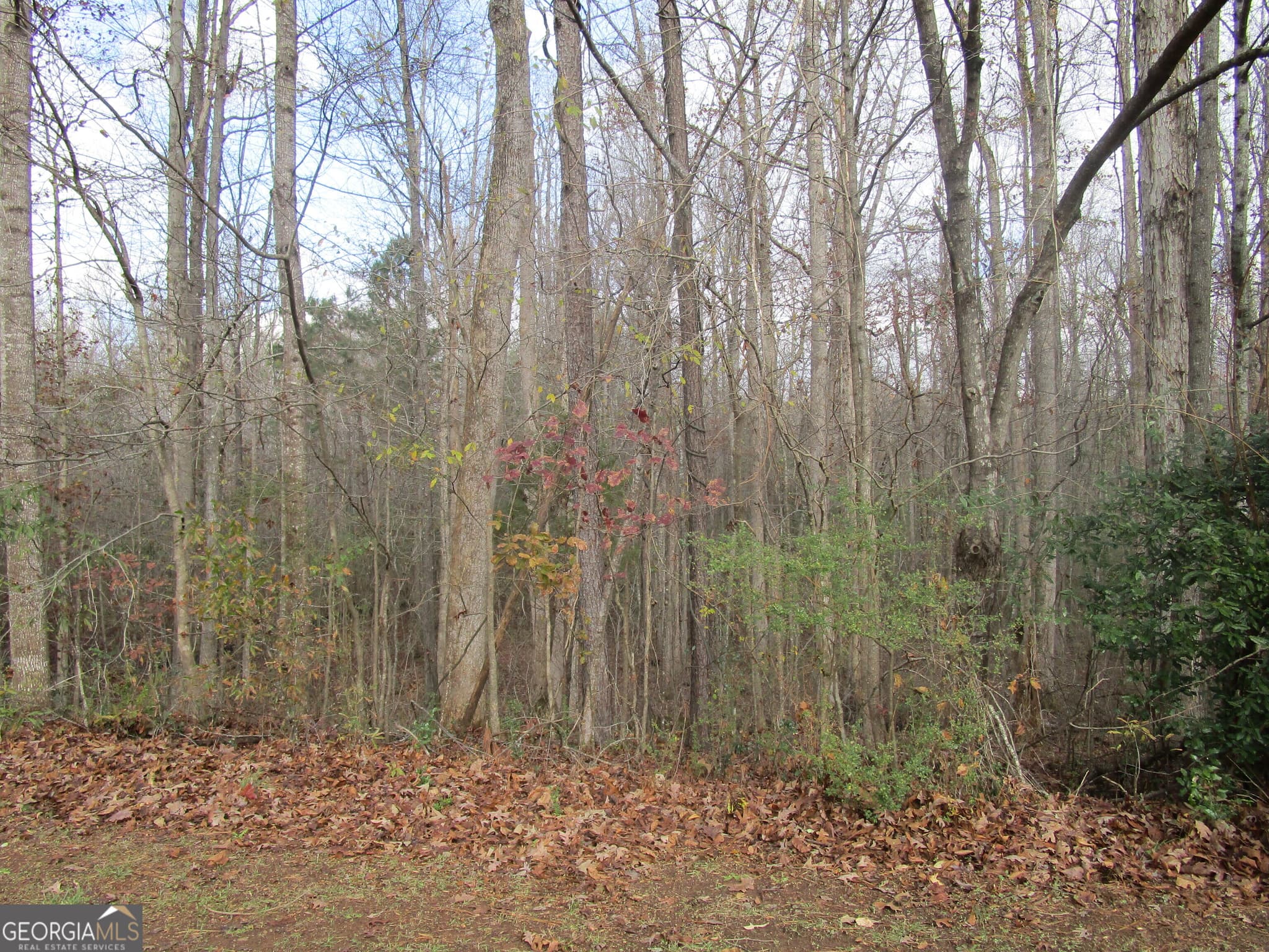 residential lot for sale at 135 Four Oaks Drive, Griffin, GA 30224 — photo 1 of 3