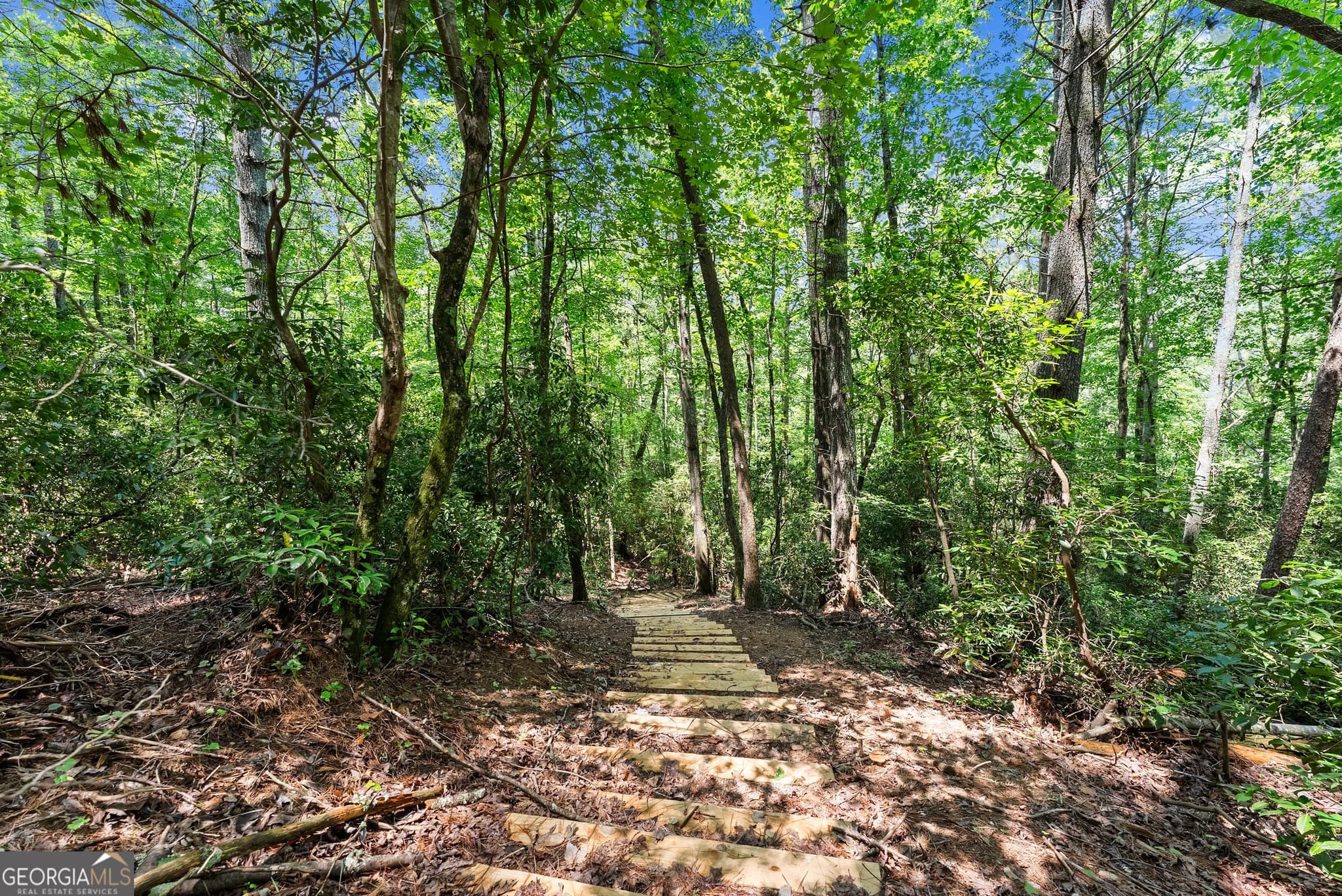 residential lot for sale at 4A 0 Creekside Drive, Cleveland, GA 30528 — photo 9