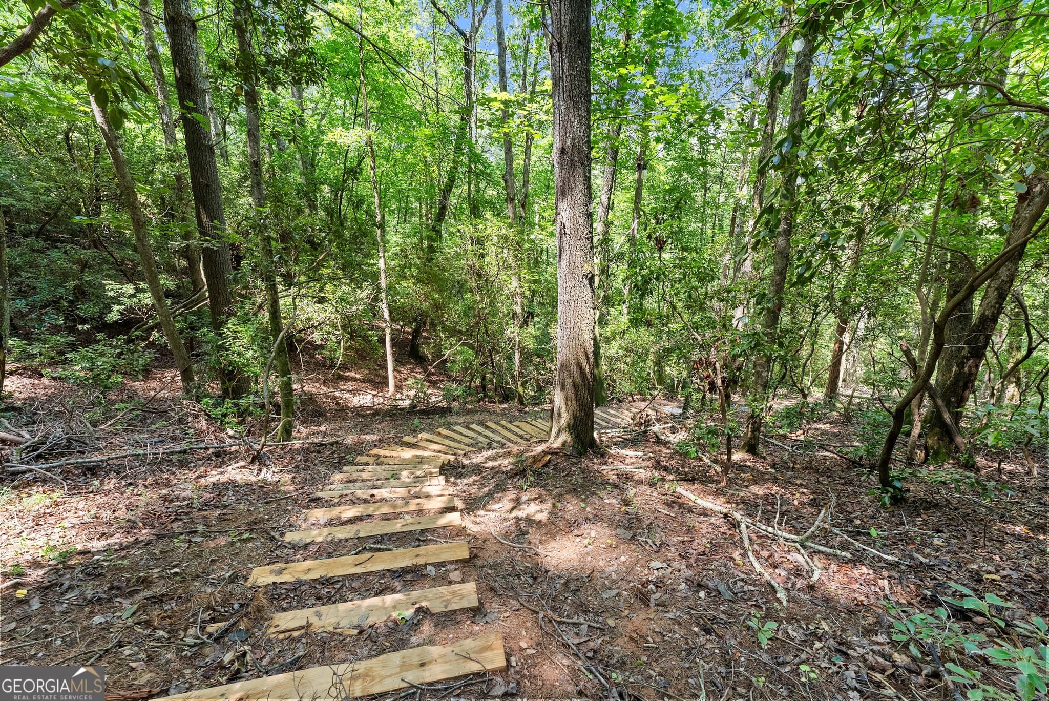 residential lot for sale at 4A 0 Creekside Drive, Cleveland, GA 30528 — photo 10