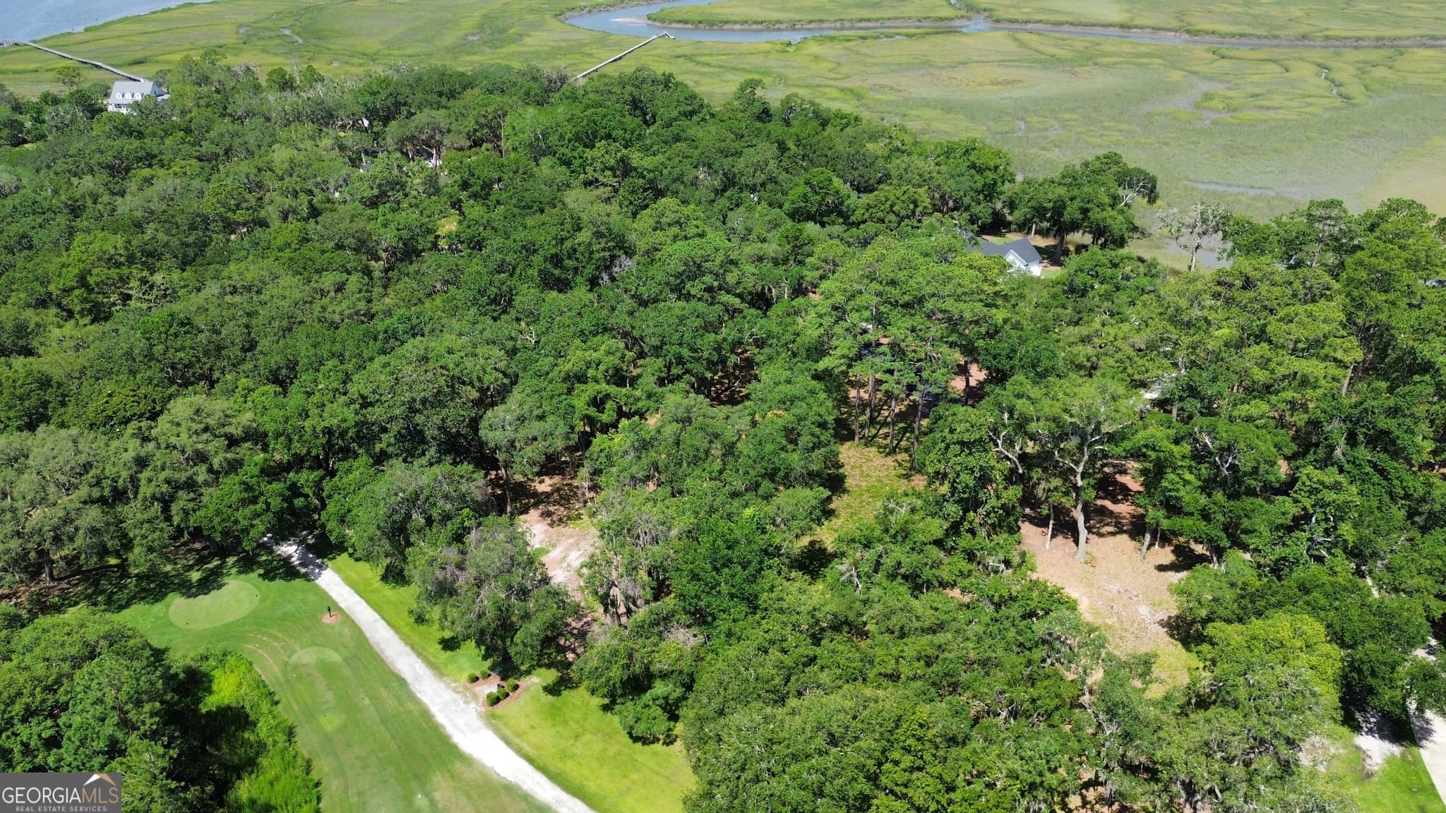 residential lot for sale at 0 Sutherland Bluff Drive, Townsend, GA 31331 — photo 6