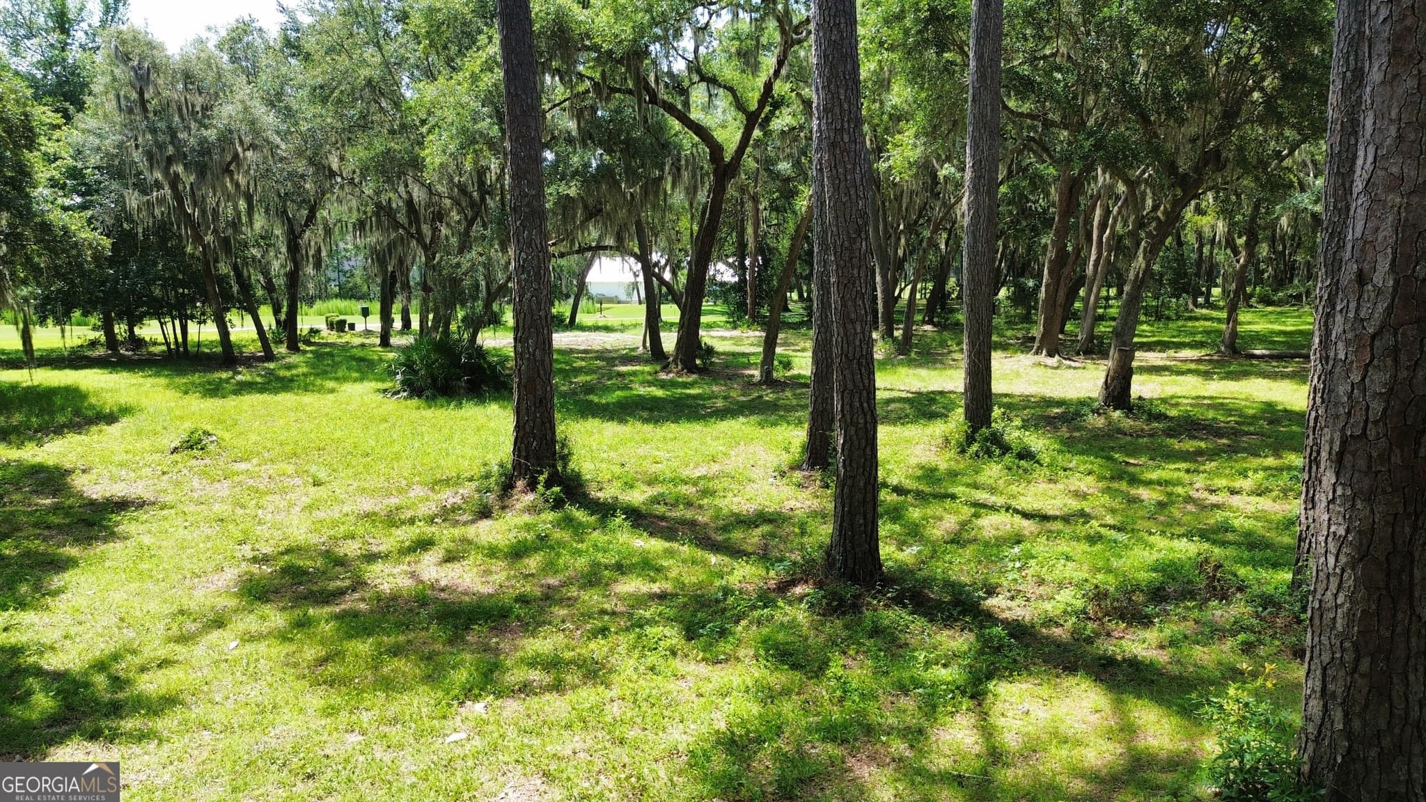 residential lot for sale at 0 Sutherland Bluff Drive, Townsend, GA 31331