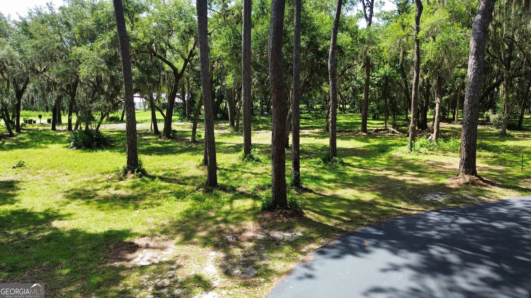 residential lot for sale at 0 Sutherland Bluff Drive, Townsend, GA 31331 — photo 10