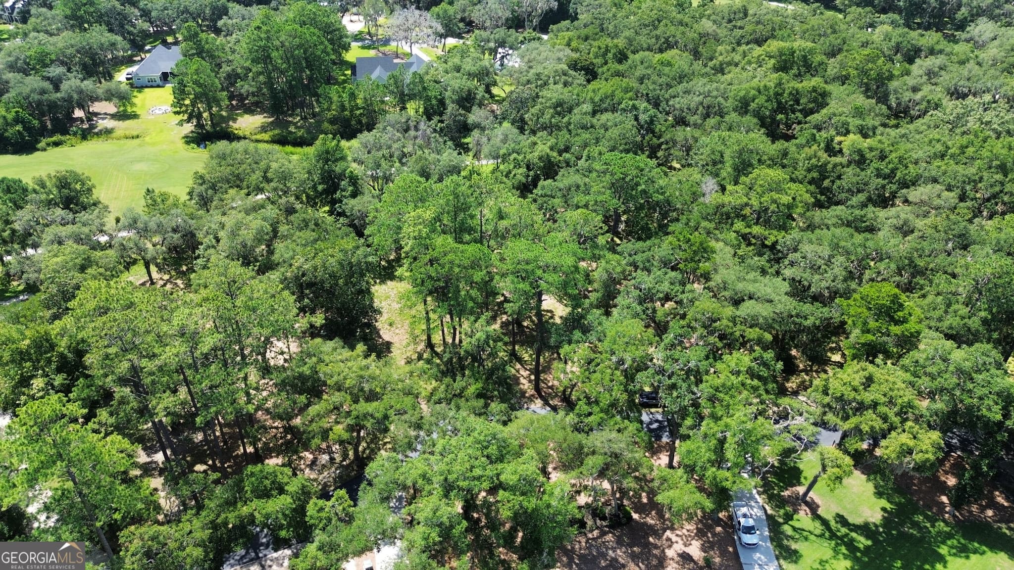 residential lot for sale at 0 Sutherland Bluff Drive, Townsend, GA 31331 — photo 8