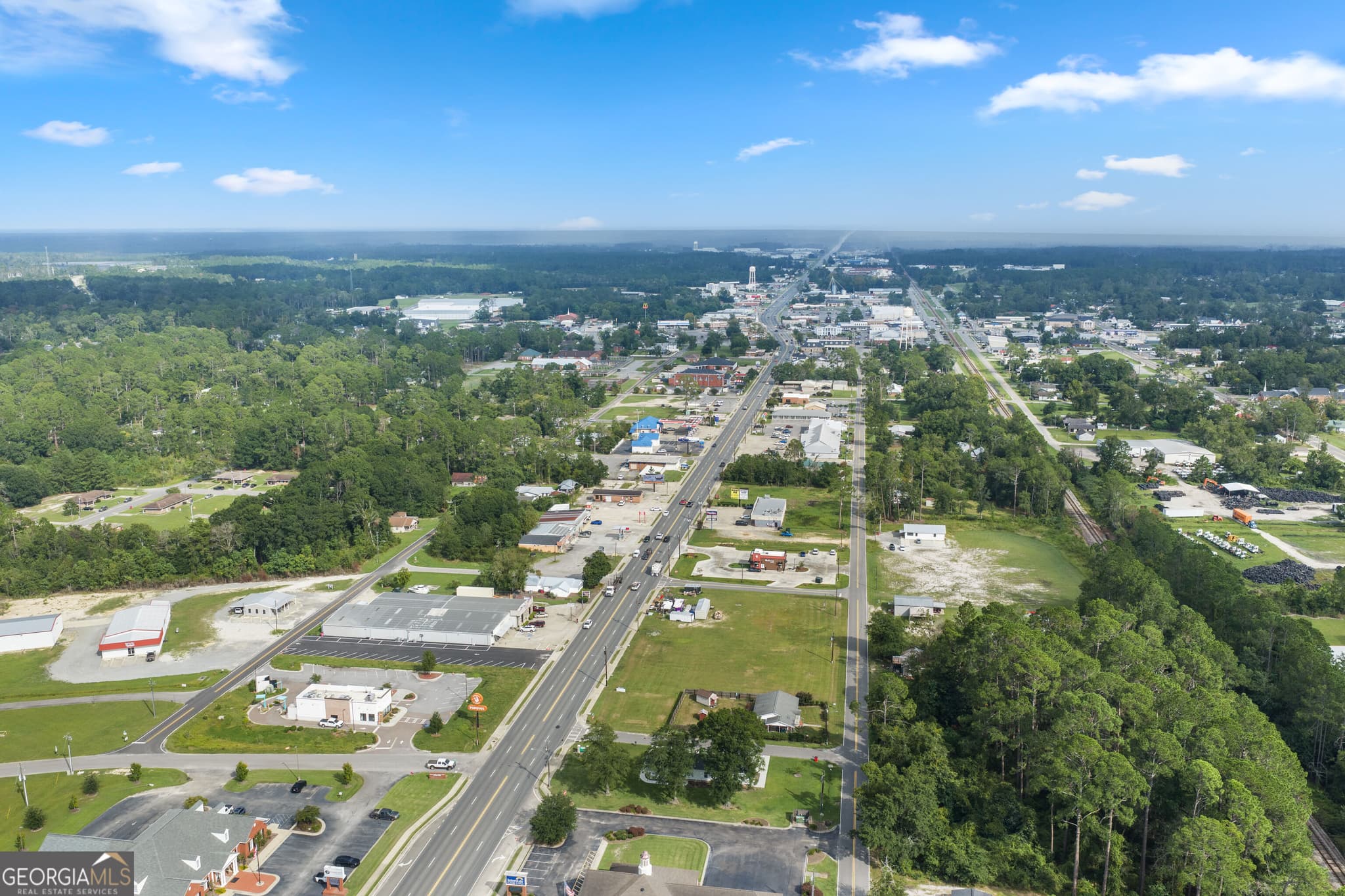 unimproved land for sale at 0 Highway 341Tract 1, Baxley, GA 31513 — photo 4