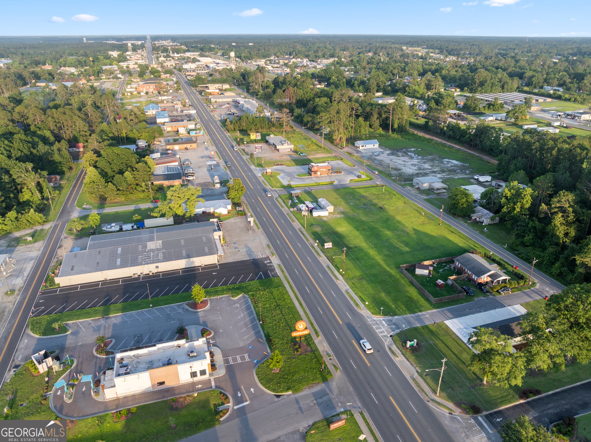 unimproved land for sale at 0 Highway 341Tract 1, Baxley, GA 31513 — photo 8