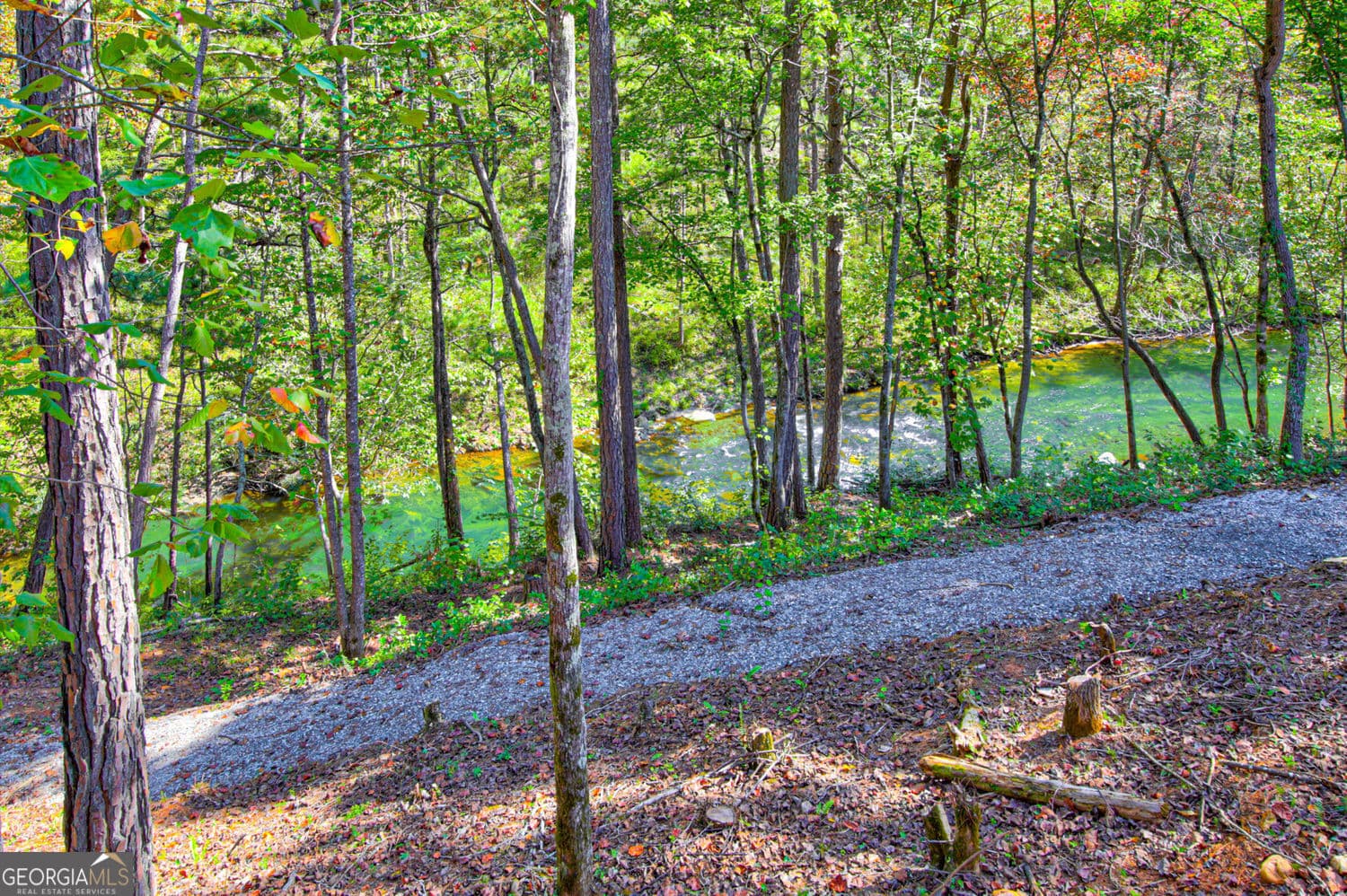 4 bedroom, 4.5 bathroom, 6,511 sq ft cabin,single family residence for rent at 380 Biguns Boulevard, Talking Rock, GA 30175 for $5,500 a month — photo 5