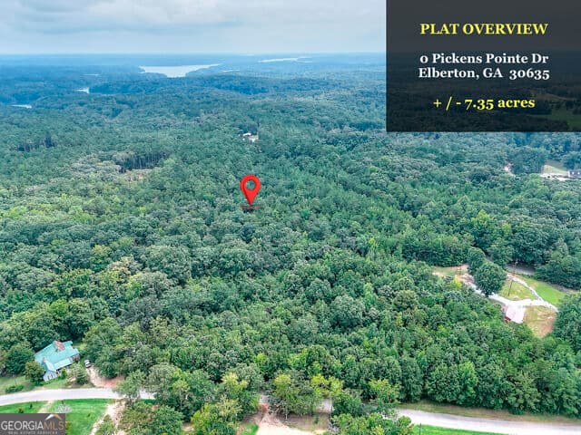 agriculture for sale at 0 Pickens Pointe Drive, Elberton, GA 30635 — photo 6