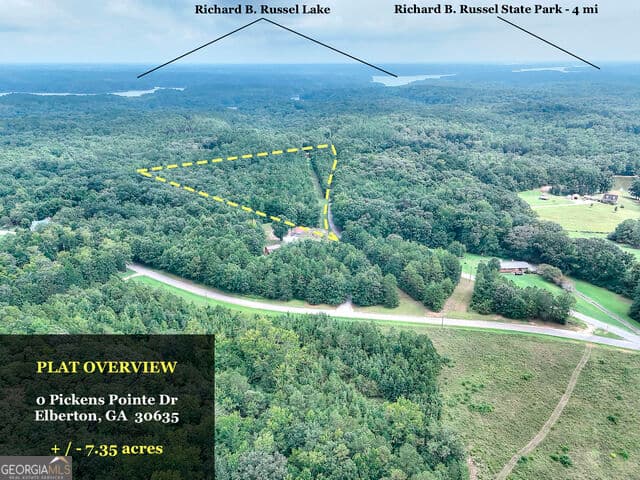 agriculture for sale at 0 Pickens Pointe Drive, Elberton, GA 30635 — photo 7