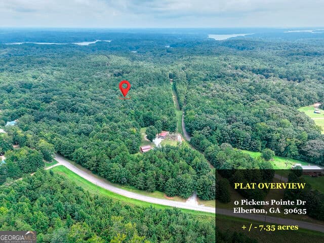 agriculture for sale at 0 Pickens Pointe Drive, Elberton, GA 30635 — photo 3