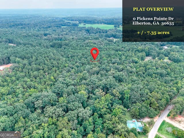 agriculture for sale at 0 Pickens Pointe Drive, Elberton, GA 30635 — photo 5