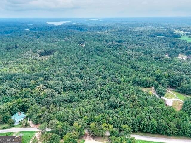 agriculture for sale at 0 Pickens Pointe Drive, Elberton, GA 30635 — photo 10
