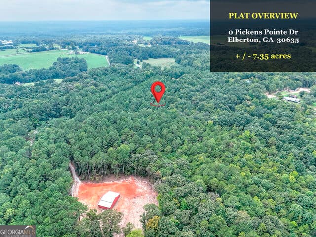 agriculture for sale at 0 Pickens Pointe Drive, Elberton, GA 30635 — photo 4