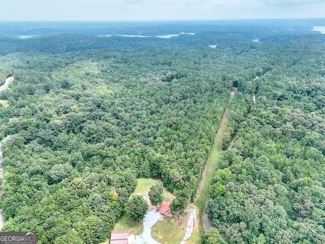 agriculture for sale at 0 Pickens Pointe Drive, Elberton, GA 30635 — photo 8