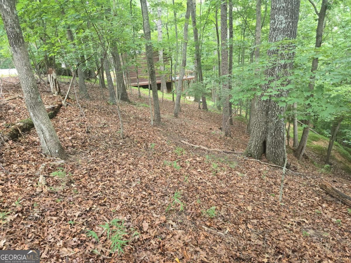 residential lot for sale at LOT 476 Riverview Drive, Ellijay, GA 30540 — photo 2