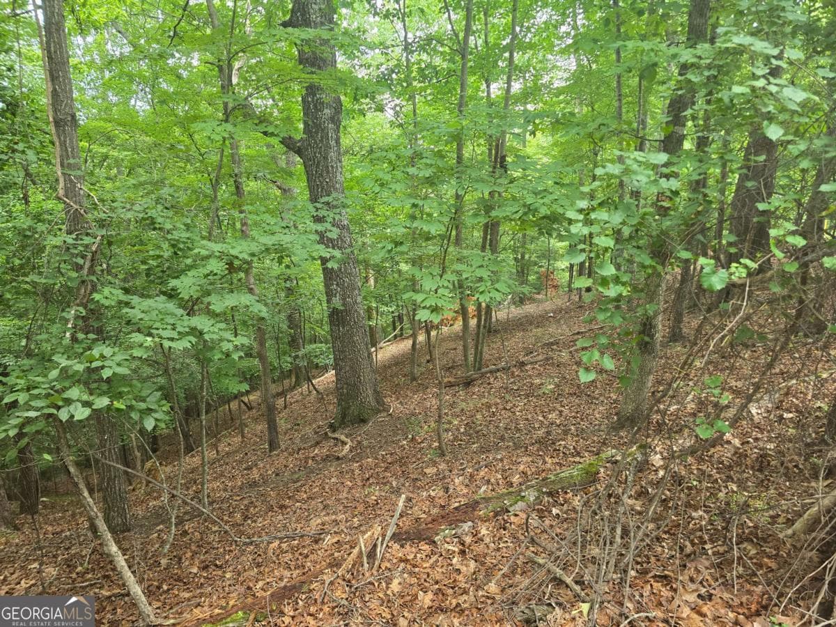 residential lot for sale at LOT 476 Riverview Drive, Ellijay, GA 30540 — photo 6