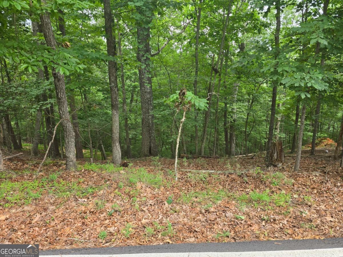 residential lot for sale at LOT 476 Riverview Drive, Ellijay, GA 30540 — photo 7