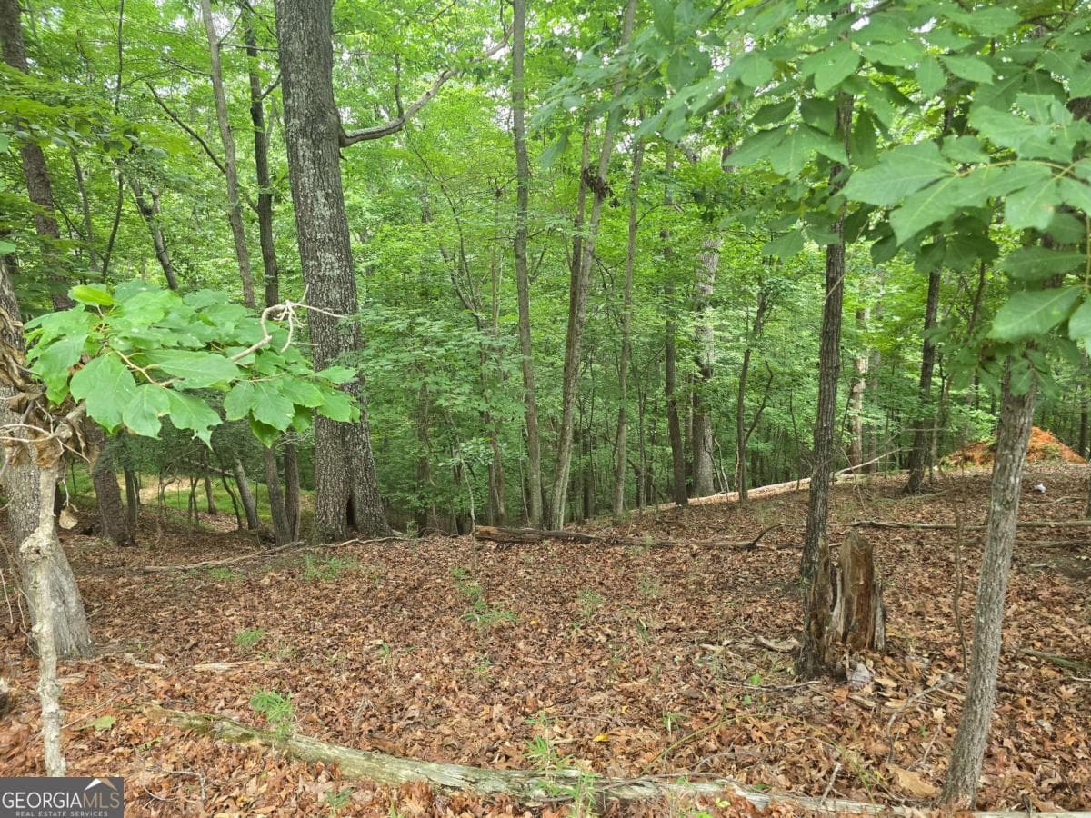 residential lot for sale at LOT 476 Riverview Drive, Ellijay, GA 30540 — photo 3