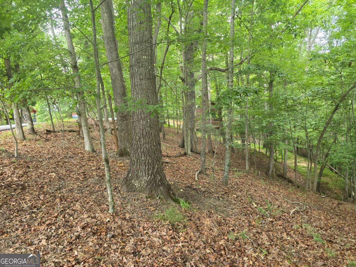 residential lot for sale at LOT 476 Riverview Drive, Ellijay, GA 30540 — photo 1 of 16