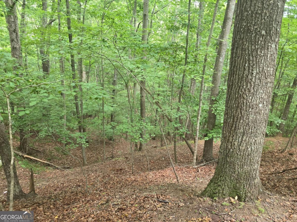 residential lot for sale at LOT 476 Riverview Drive, Ellijay, GA 30540 — photo 5
