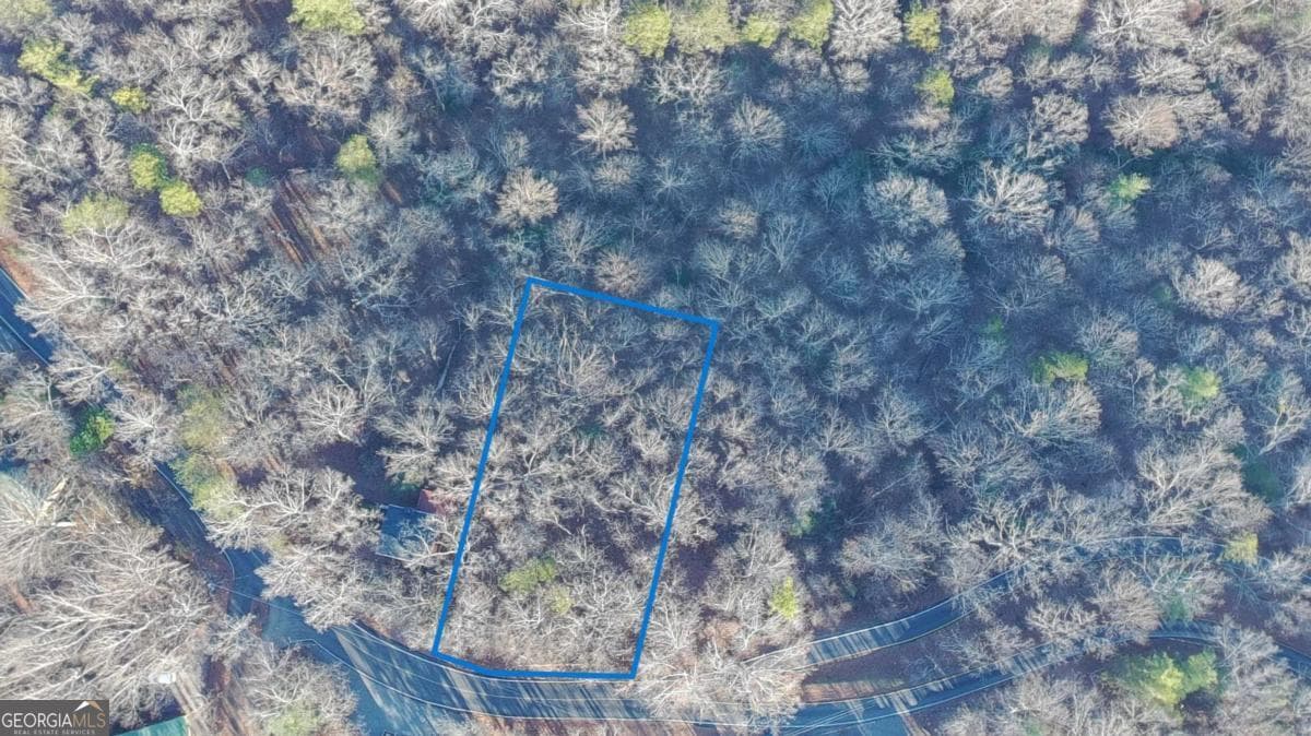 residential lot for sale at LOT 476 Riverview Drive, Ellijay, GA 30540 — photo 9