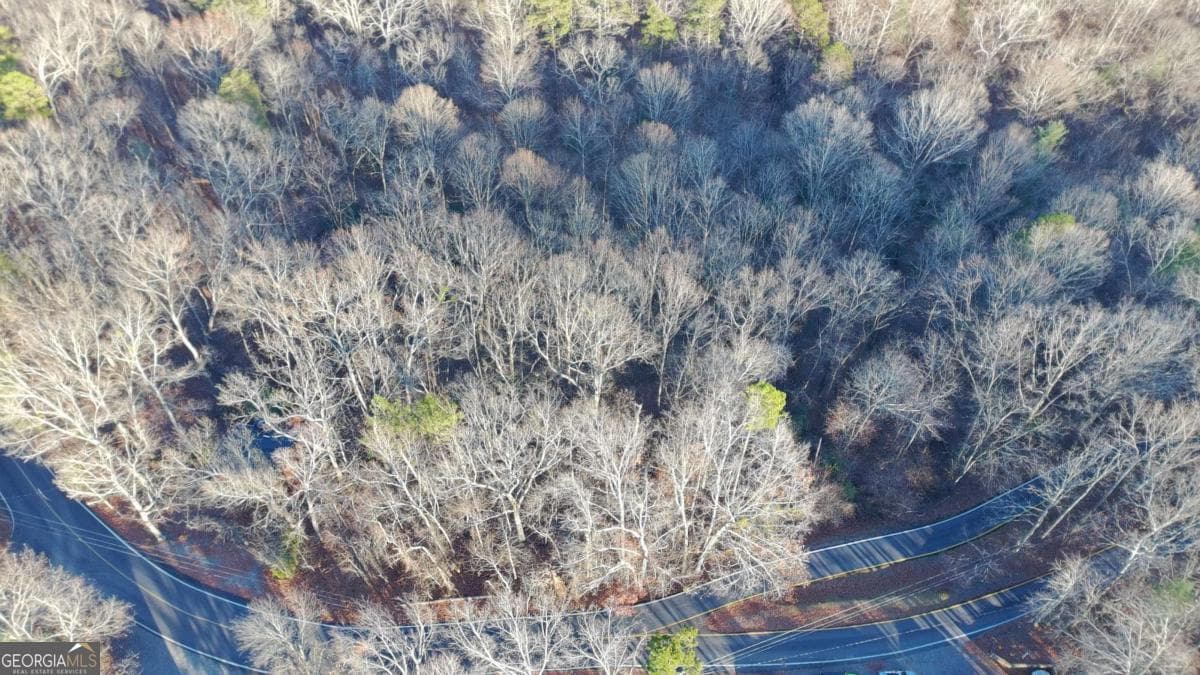 residential lot for sale at LOT 476 Riverview Drive, Ellijay, GA 30540 — photo 10