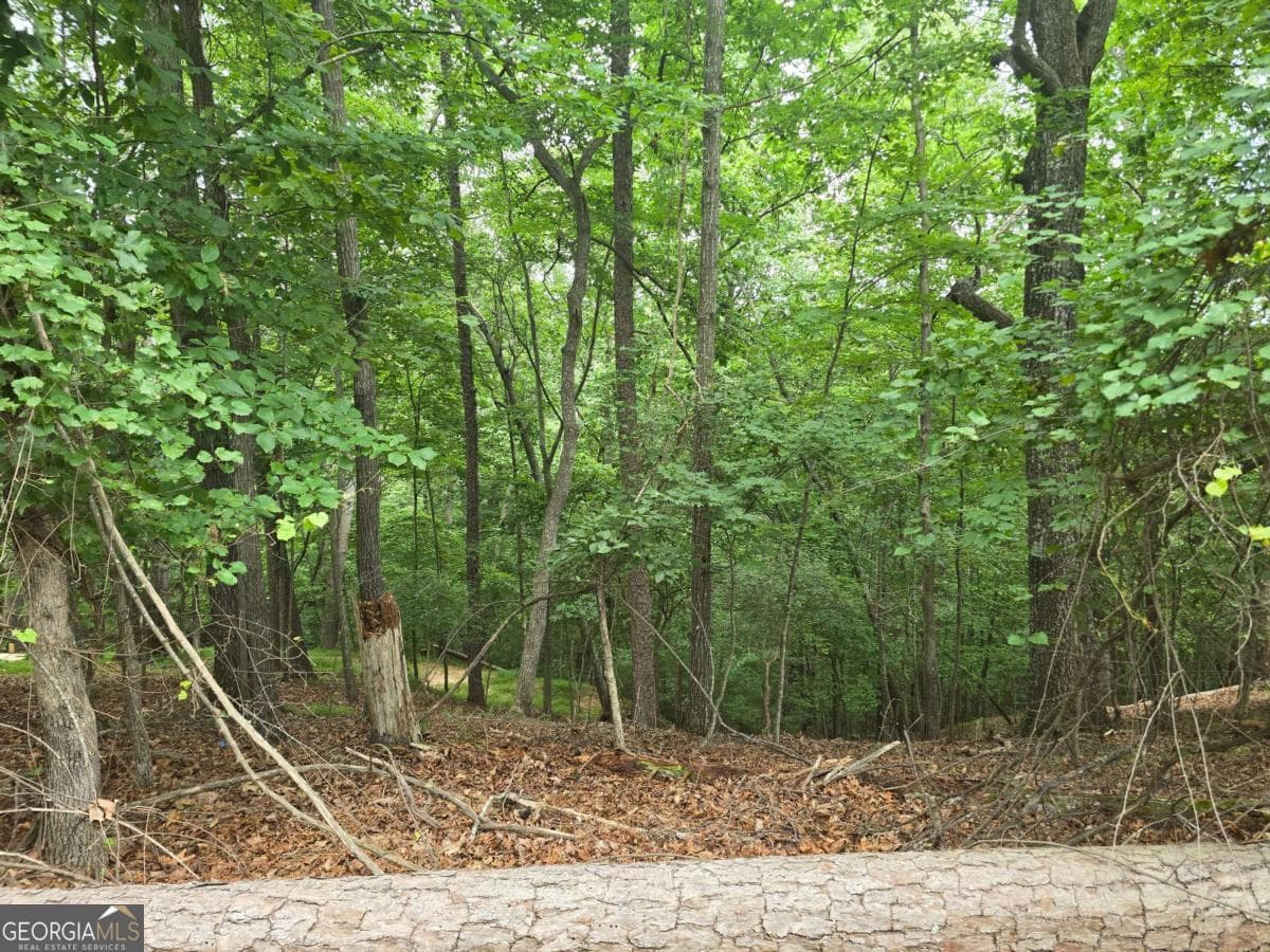 residential lot for sale at LOT 476 Riverview Drive, Ellijay, GA 30540 — photo 4