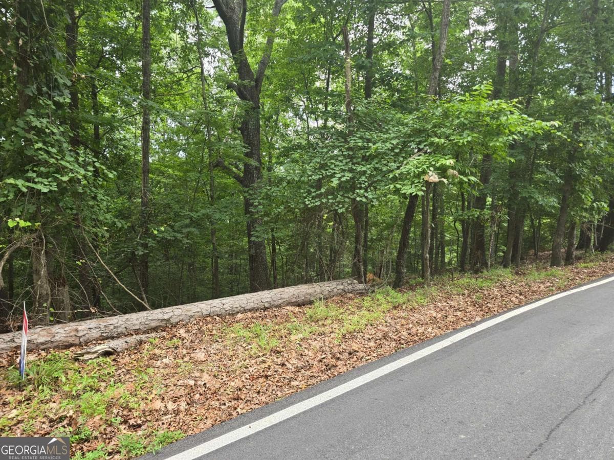 residential lot for sale at LOT 476 Riverview Drive, Ellijay, GA 30540 — photo 8