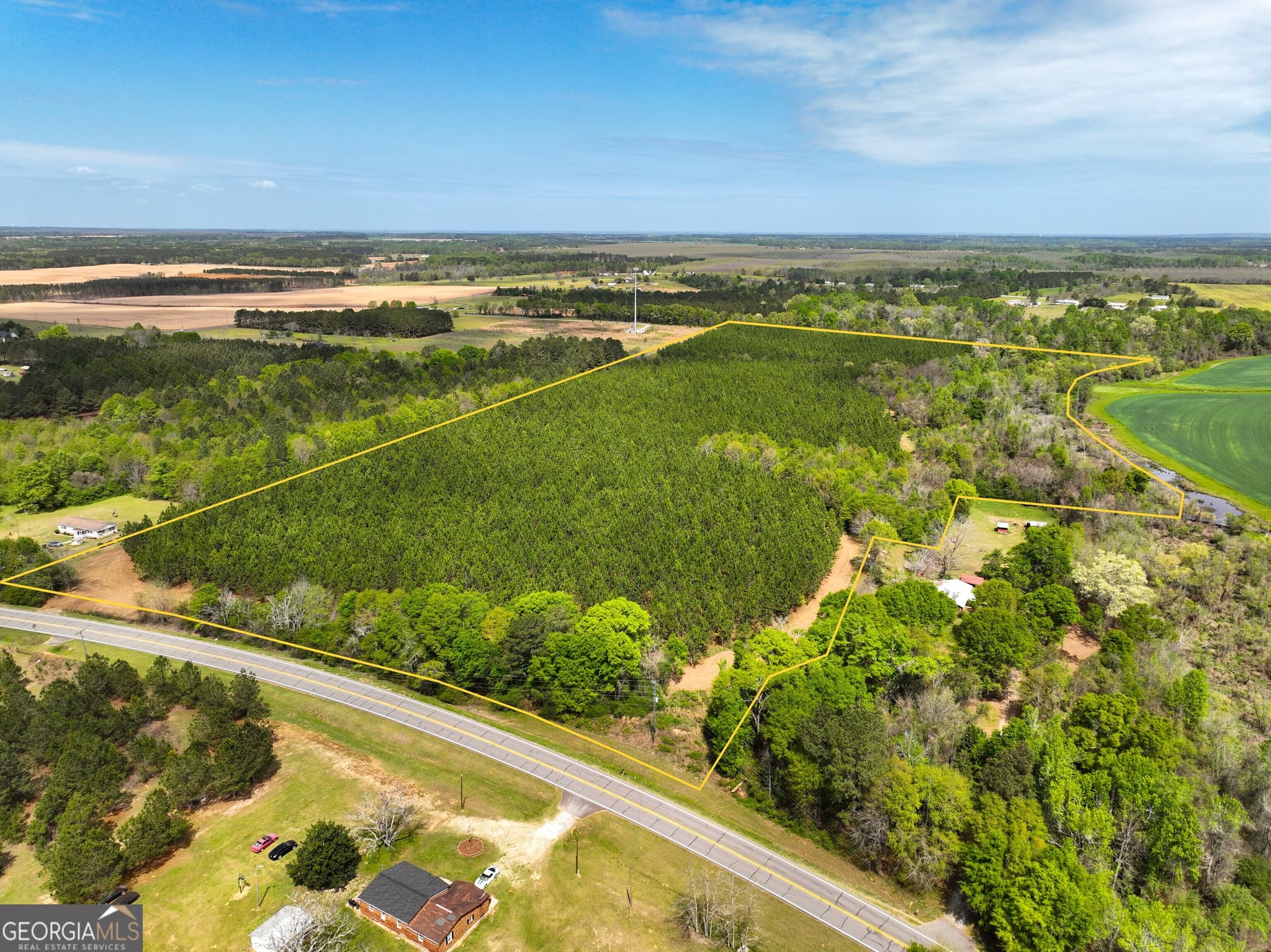 agriculture under contract at 0 Hwy 26, Hawkinsville, GA 31036 — photo 2