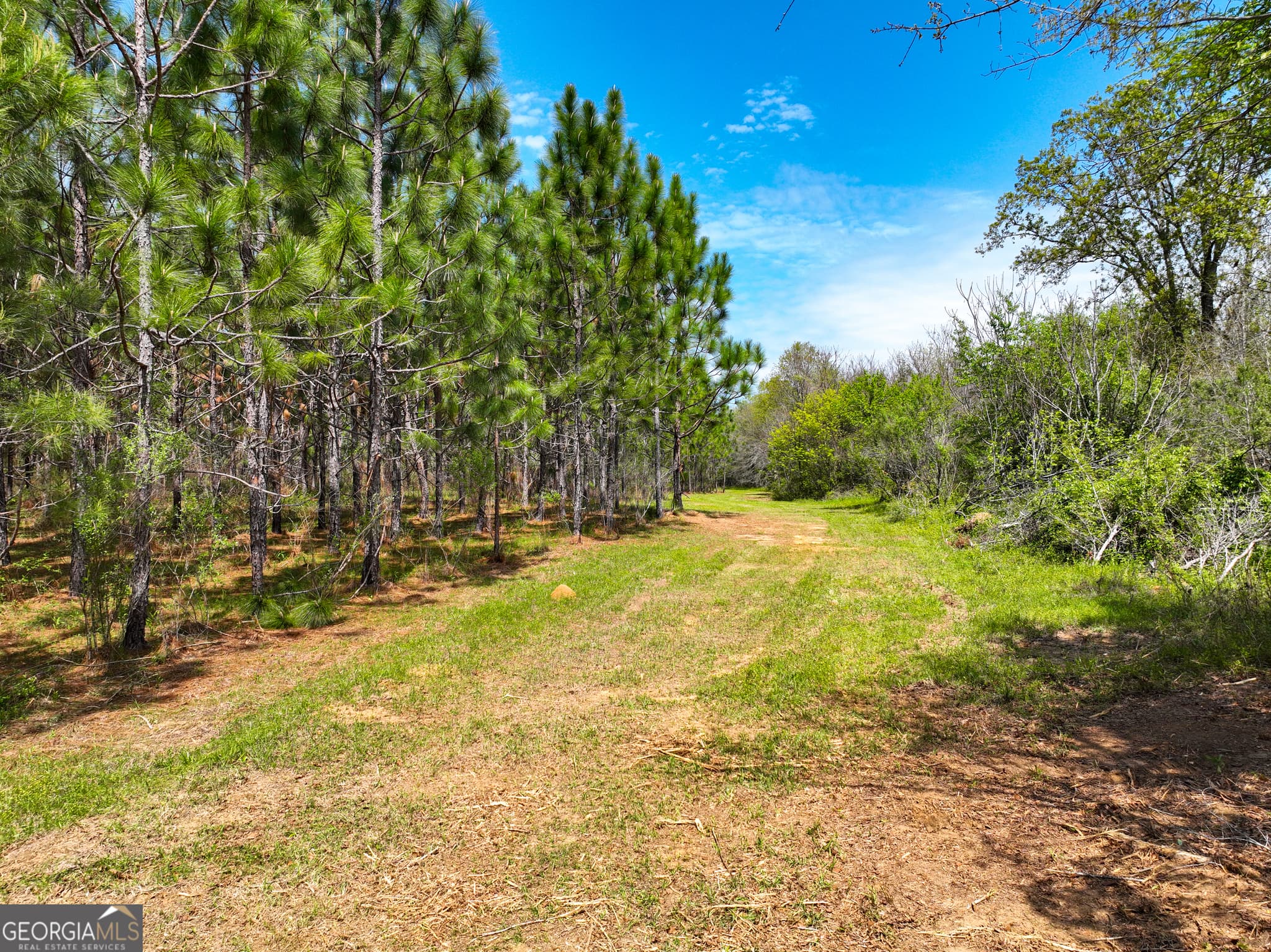 agriculture under contract at 0 Hwy 26, Hawkinsville, GA 31036 — photo 6