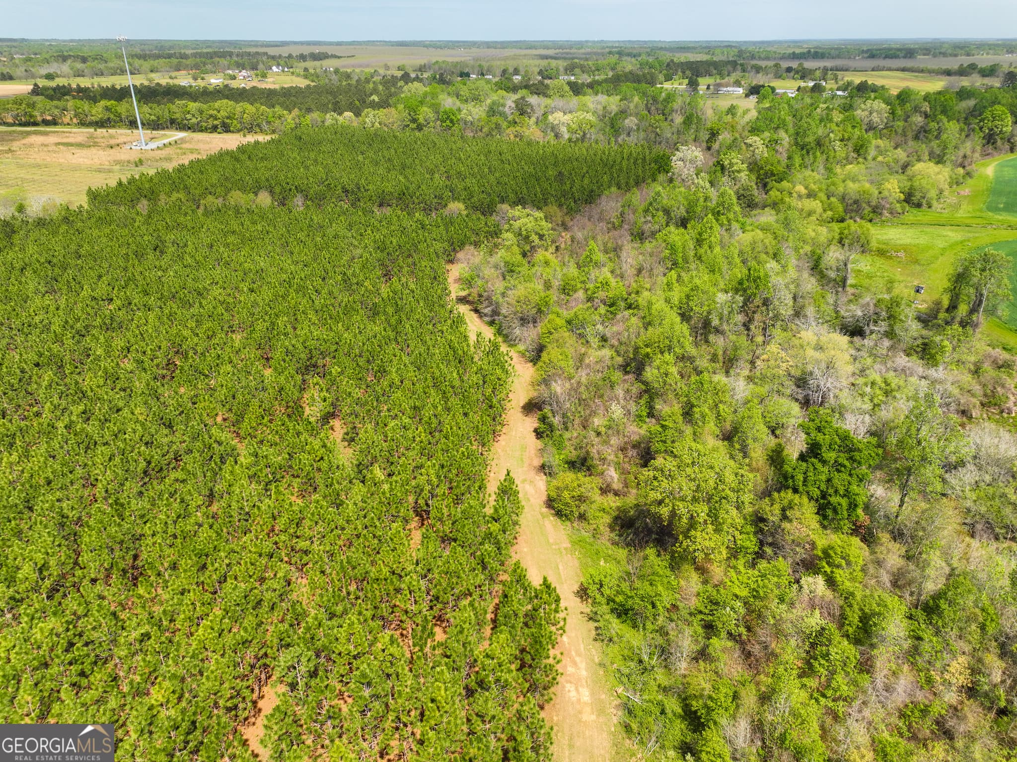agriculture under contract at 0 Hwy 26, Hawkinsville, GA 31036 — photo 7