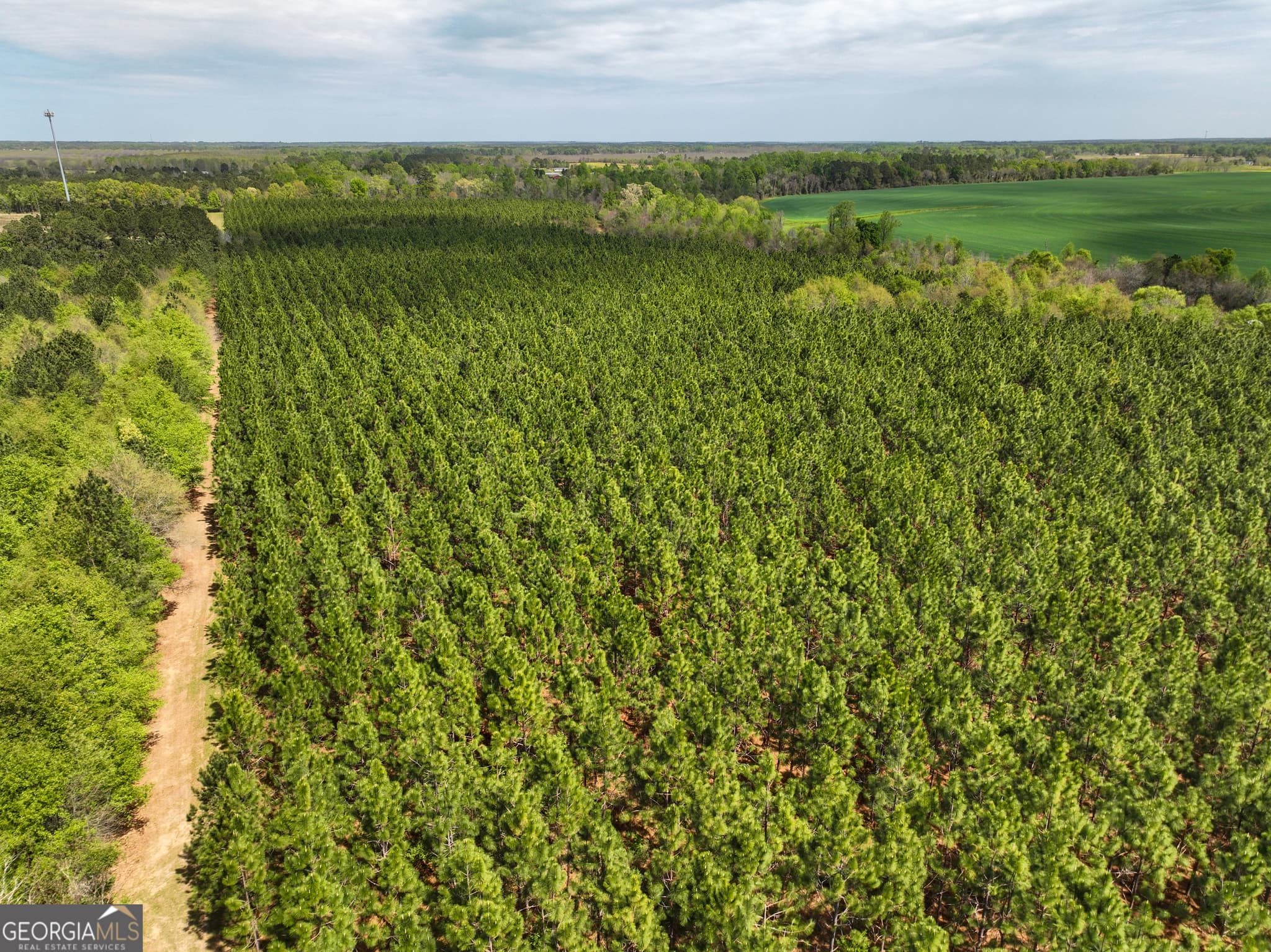 agriculture under contract at 0 Hwy 26, Hawkinsville, GA 31036 — photo 5