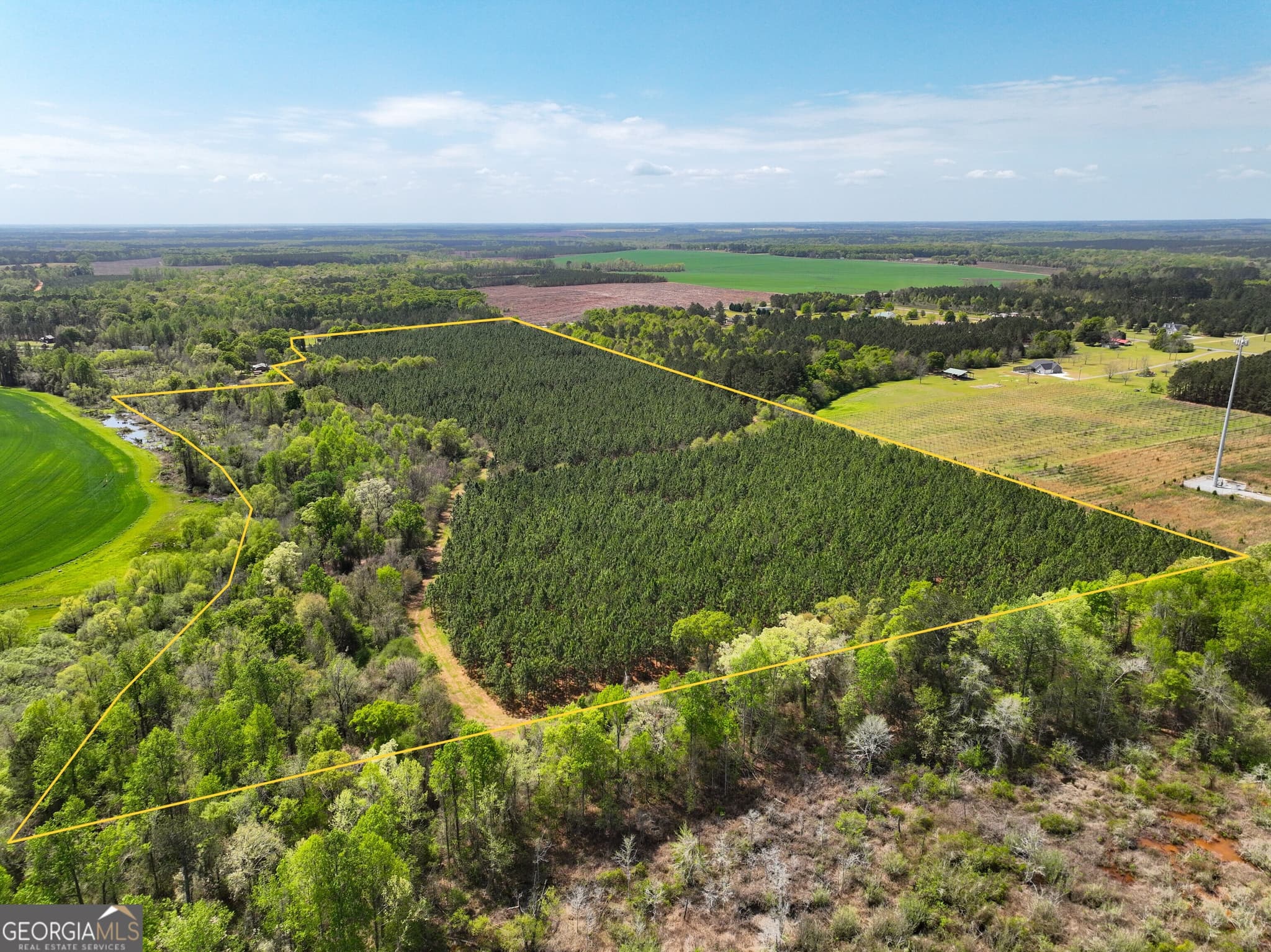 agriculture under contract at 0 Hwy 26, Hawkinsville, GA 31036 — photo 9