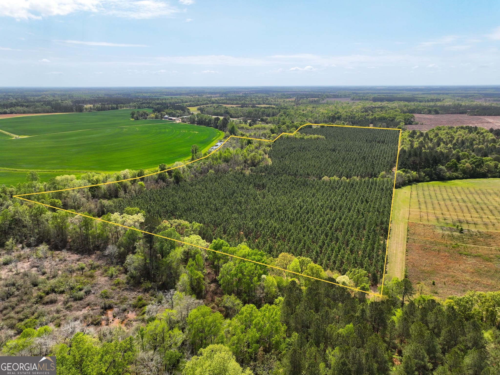 agriculture under contract at 0 Hwy 26, Hawkinsville, GA 31036 — photo 10
