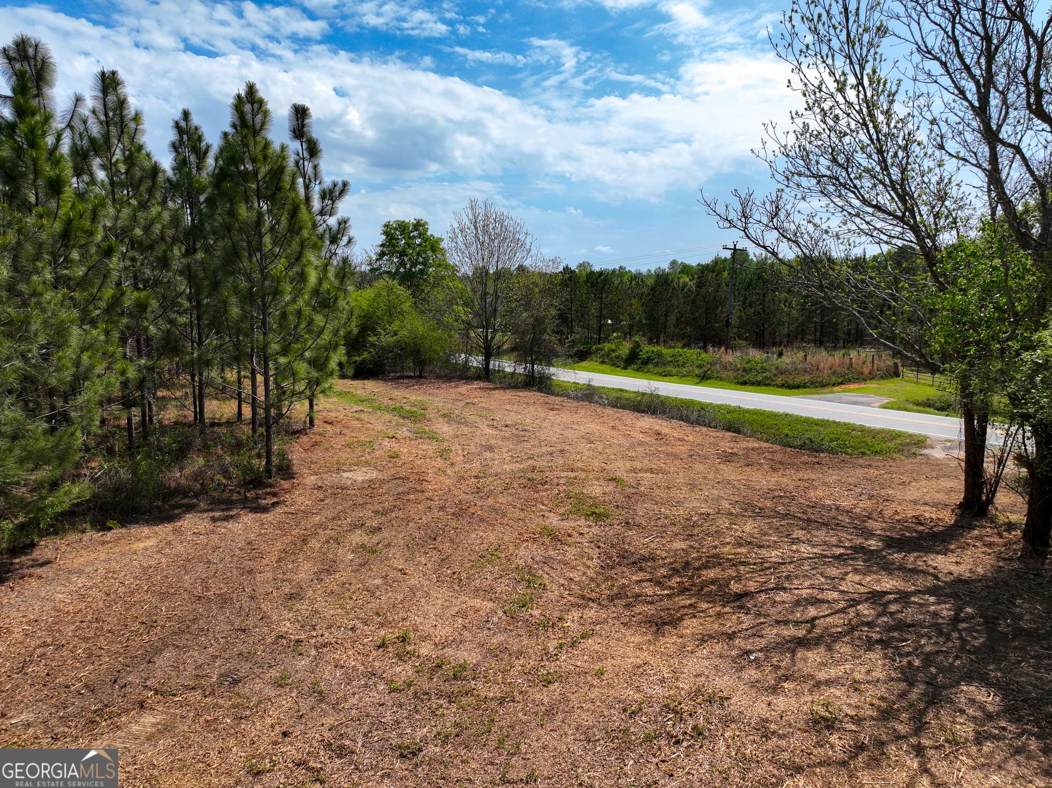 agriculture under contract at 0 Hwy 26, Hawkinsville, GA 31036 — photo 4