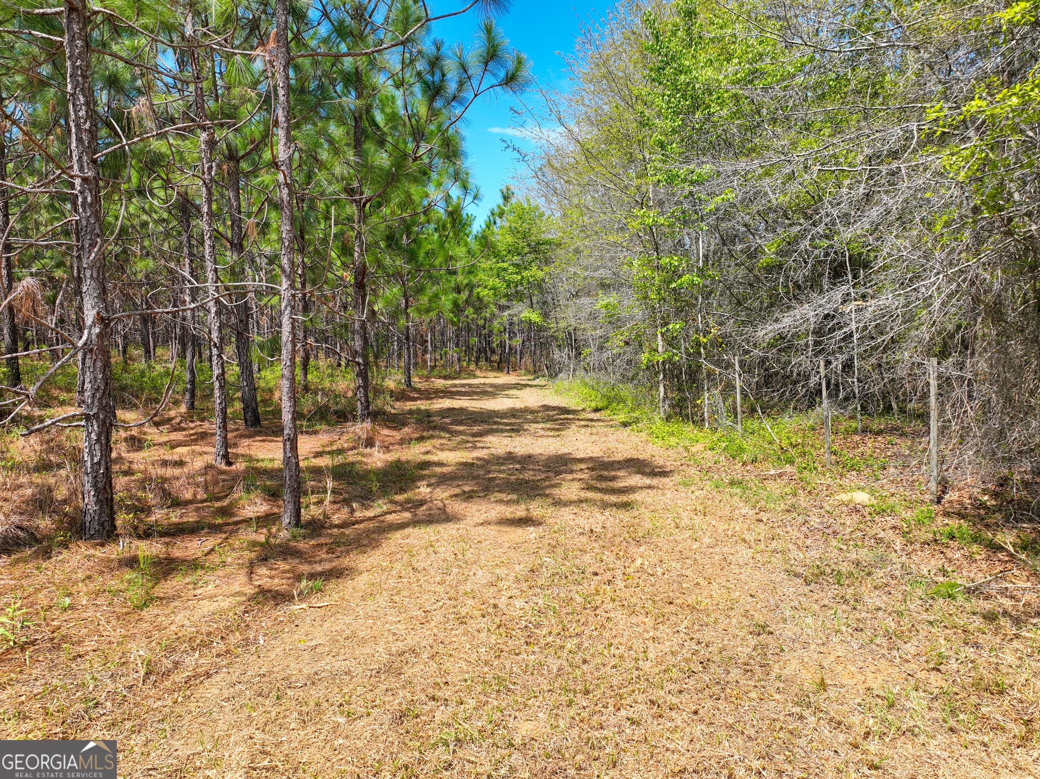 agriculture under contract at 0 Hwy 26, Hawkinsville, GA 31036 — photo 8