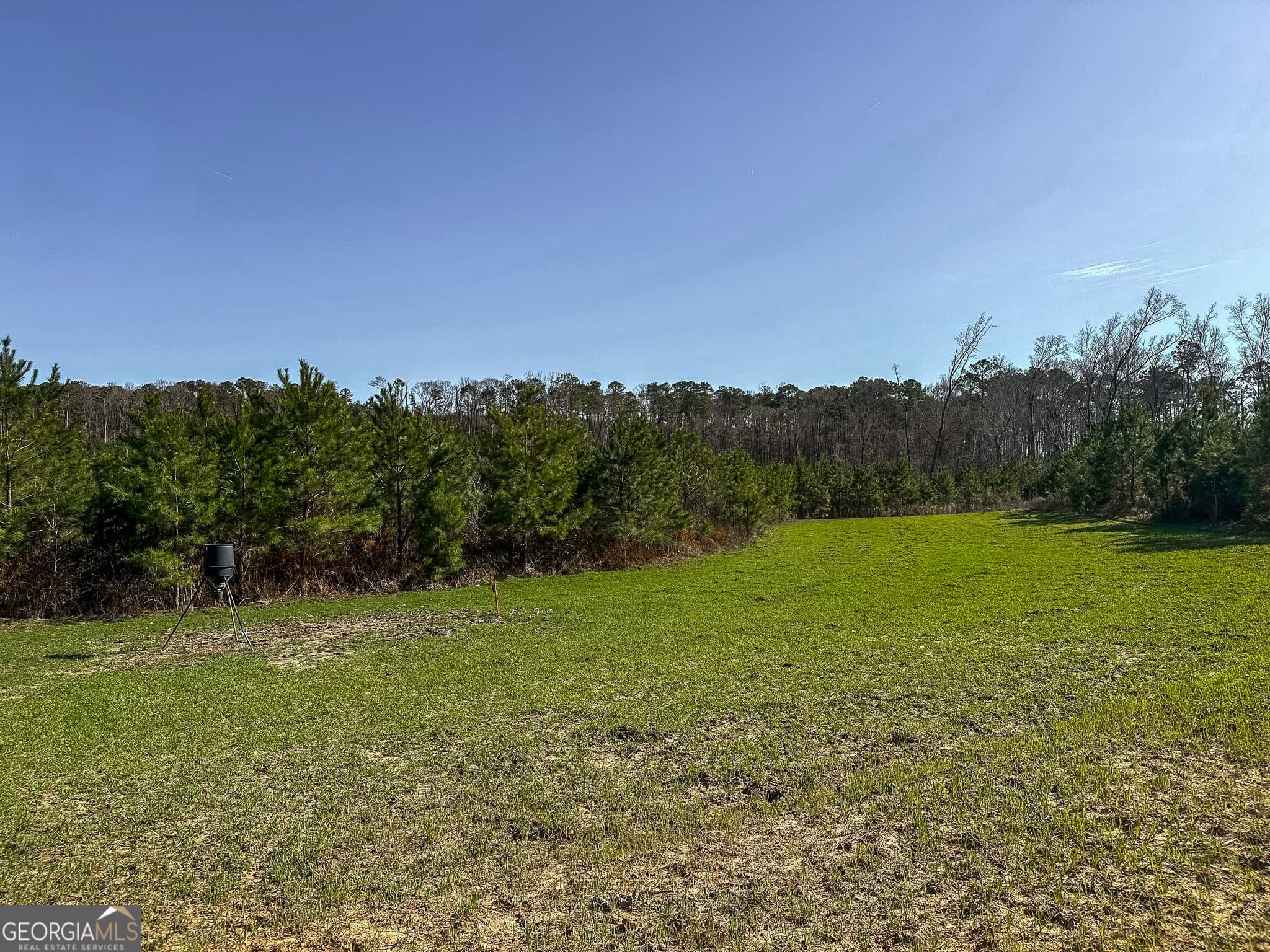 agriculture for sale at 1298 Days Avenue, Morris, GA 39867 — photo 2