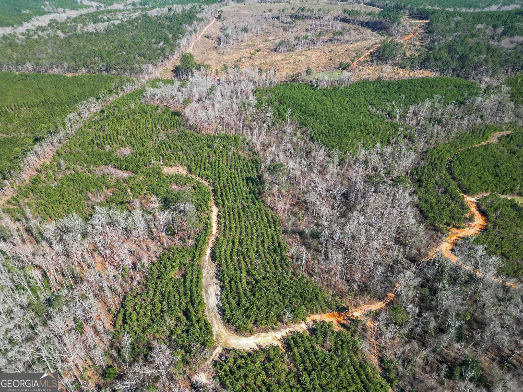 agriculture for sale at 1298 Days Avenue, Morris, GA 39867 — photo 6