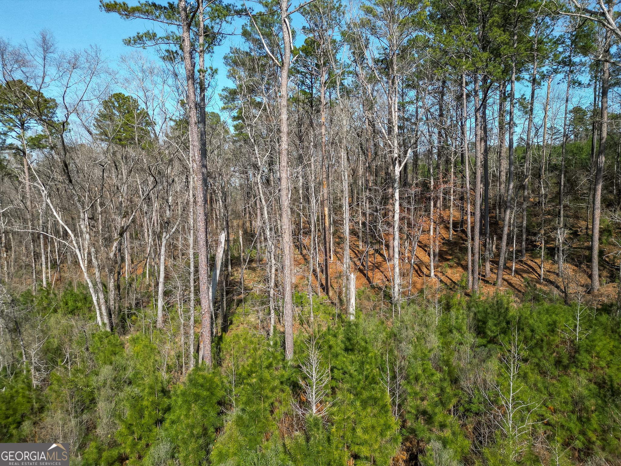 agriculture for sale at 1298 Days Avenue, Morris, GA 39867 — photo 7