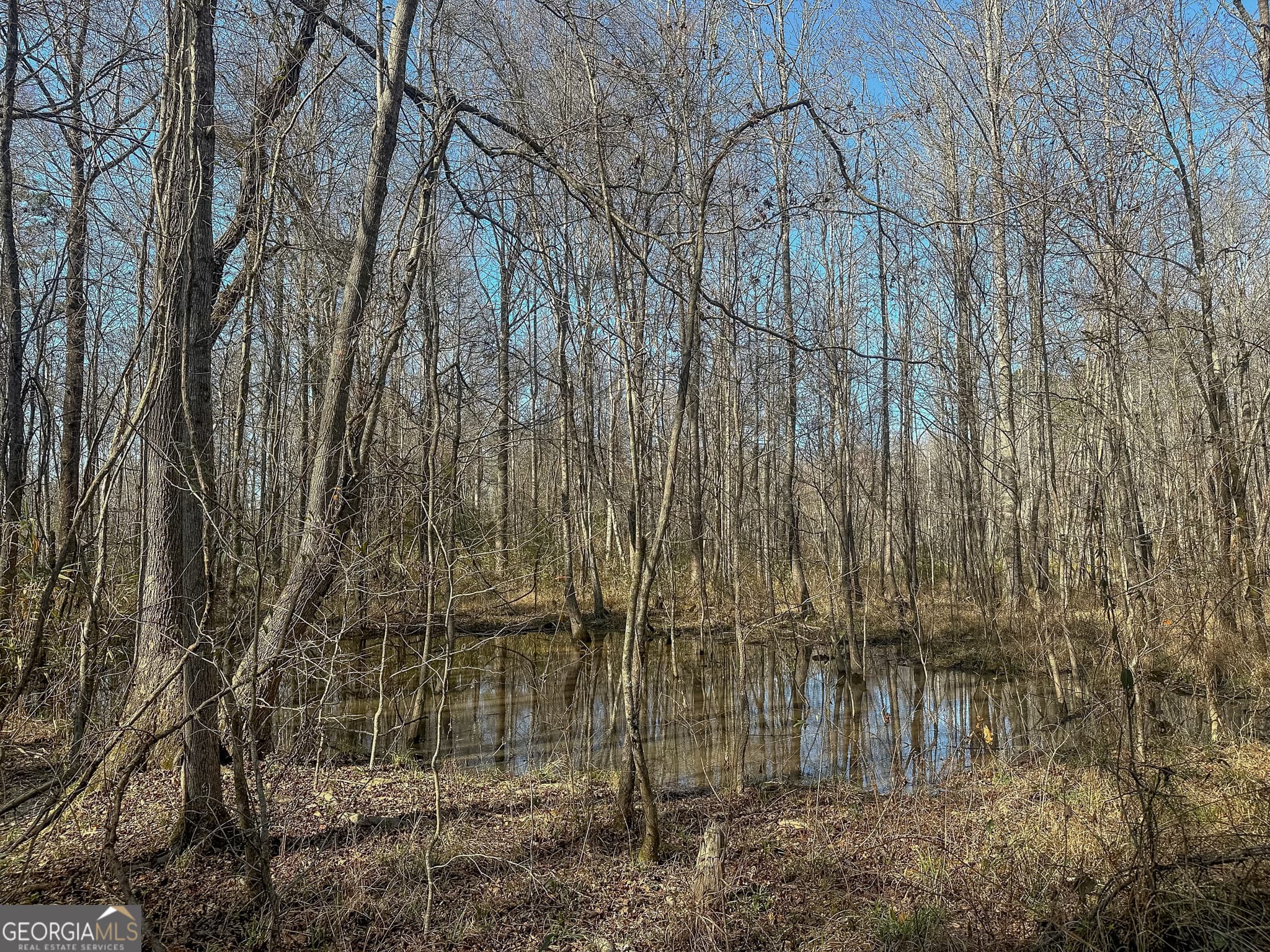 agriculture for sale at 1298 Days Avenue, Morris, GA 39867 — photo 3