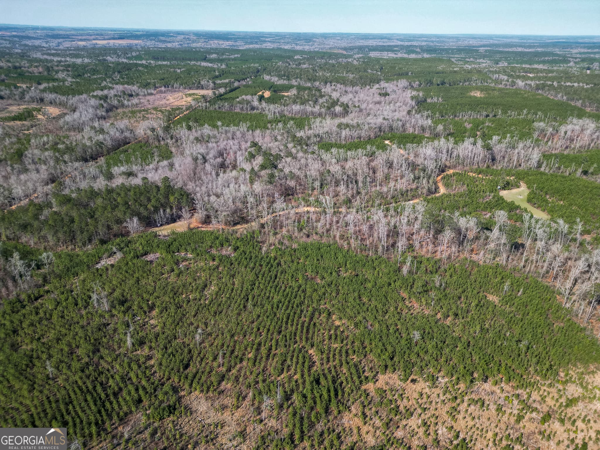 agriculture for sale at 1298 Days Avenue, Morris, GA 39867 — photo 1 of 18